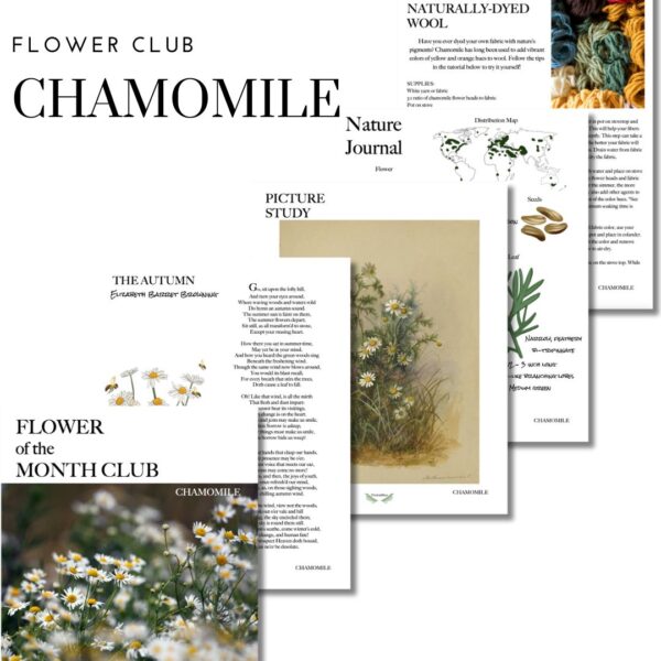 Flower Of The Month Club