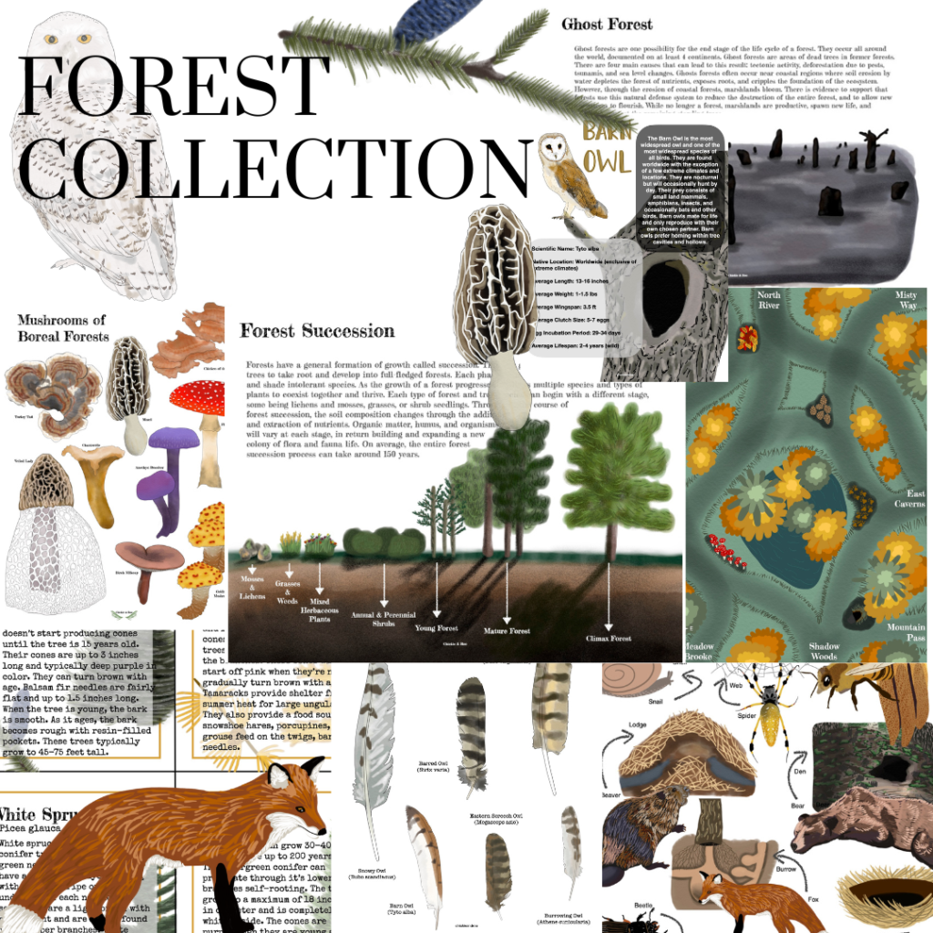 Forest Collection - Chickie & Roo Homeschool