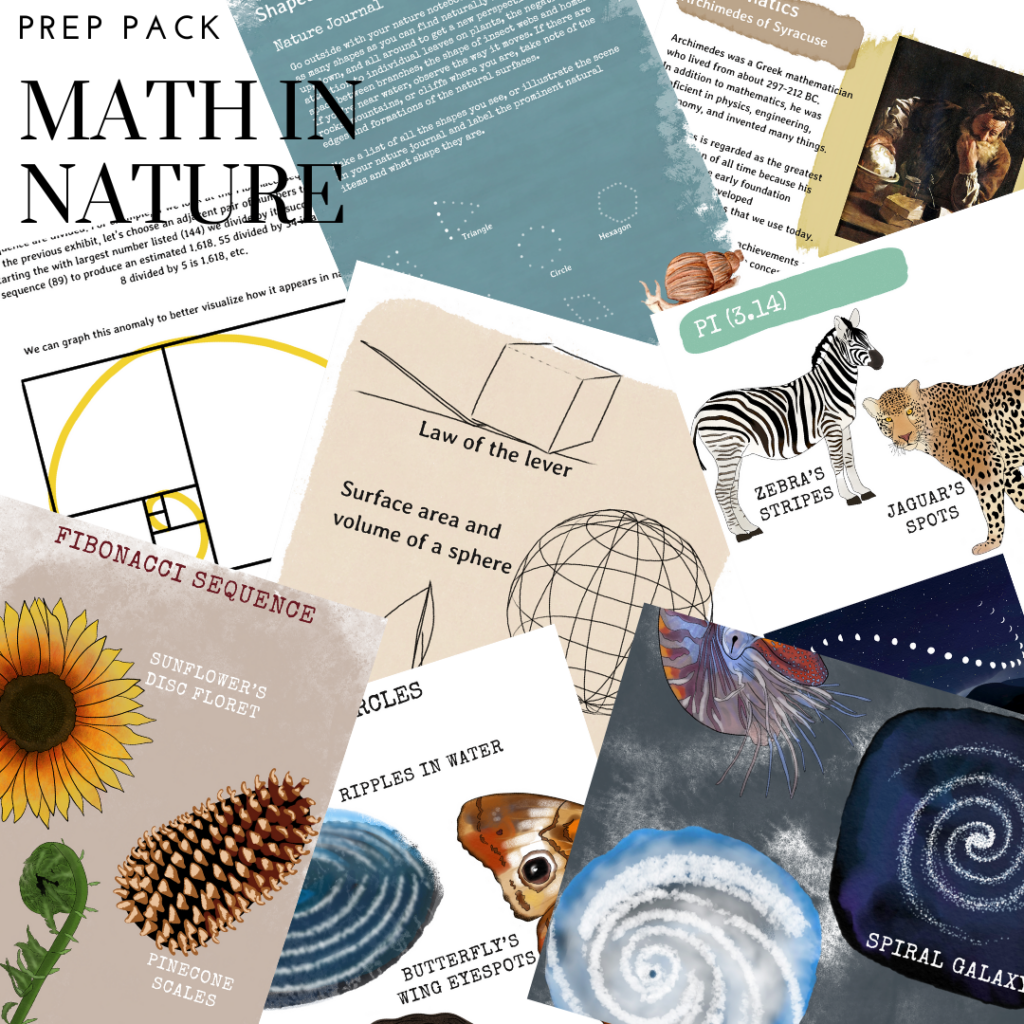 Math In Nature Prep Pack Chickie And Roo Homeschool